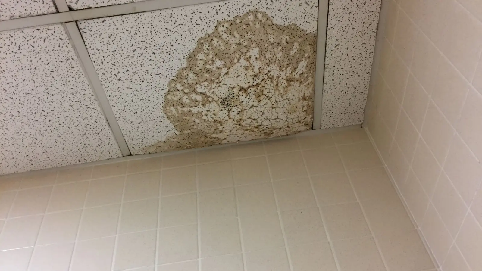 Water-stained ceiling tile in a bathroom corner