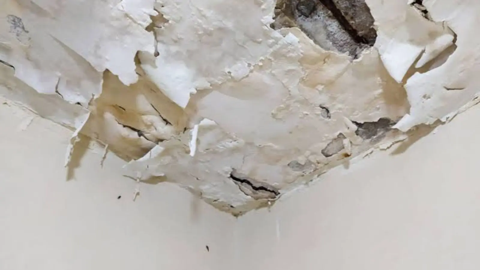 Peeling paint and a water-damaged corner of a ceiling