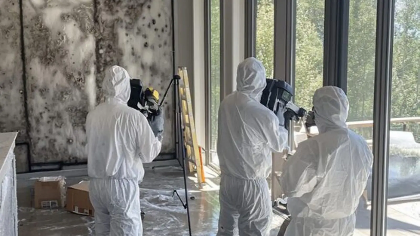 Mold crew in protective suits documenting a room before remediation