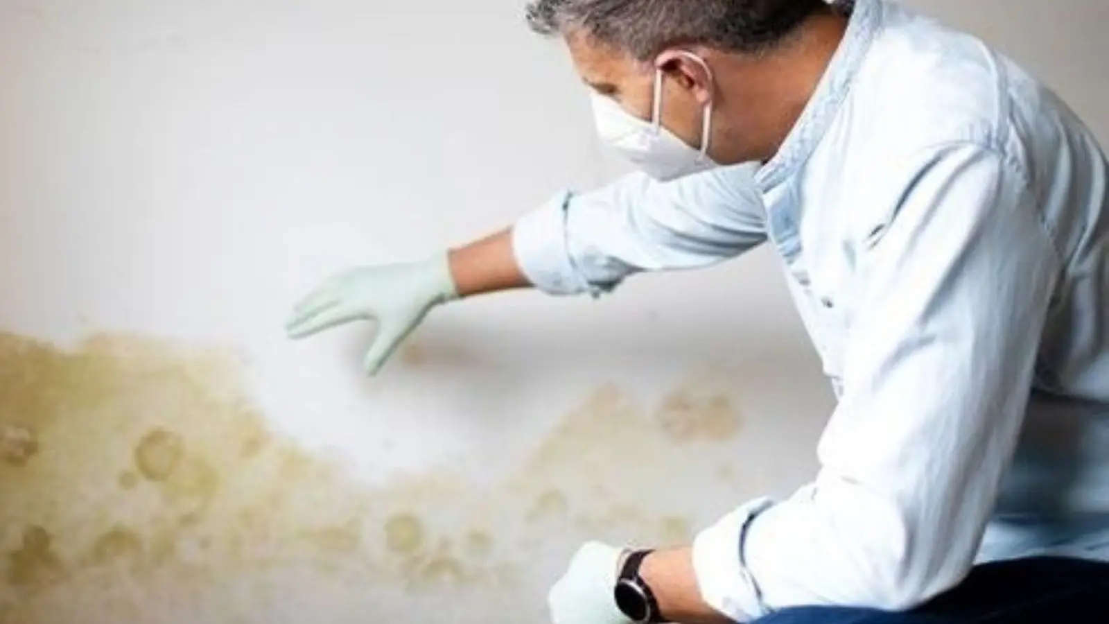 Person in a mask and gloves examining a water-stained wall