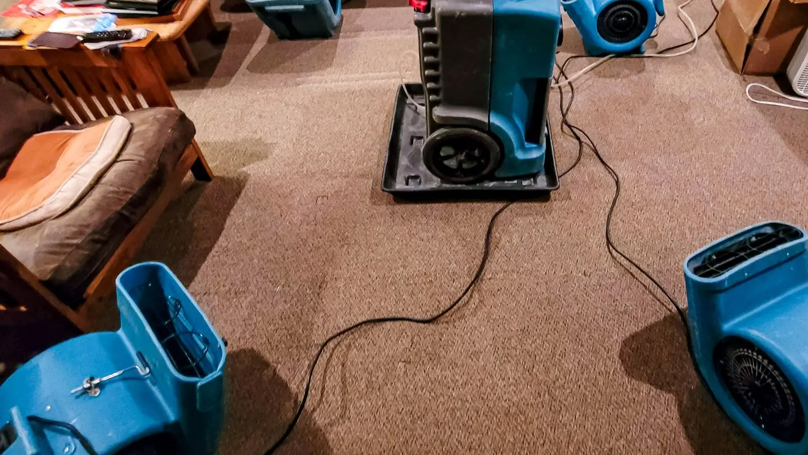 Dehumidifier and blue air movers set up on wet carpet